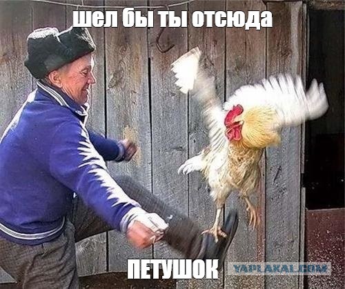 Главная гнида отечественного кино