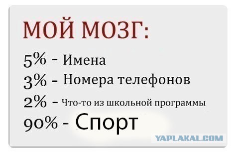 В Новокузнецке преподаватель физкультуры отправил в нокаут другого педагога