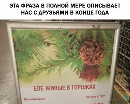 Немного картинок с надписями и без - 12.12.19