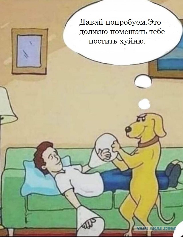 Интересные факты о сексе в картинках