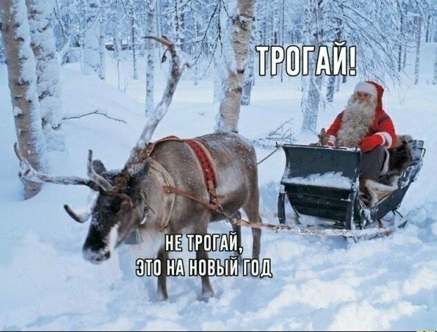 Чуток картинок! 26.12.19