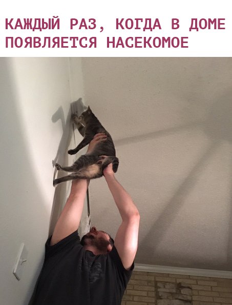 Немного картинок для настроения 29.01.20