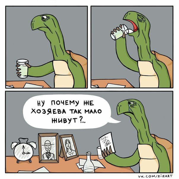 Кучка картинок №0