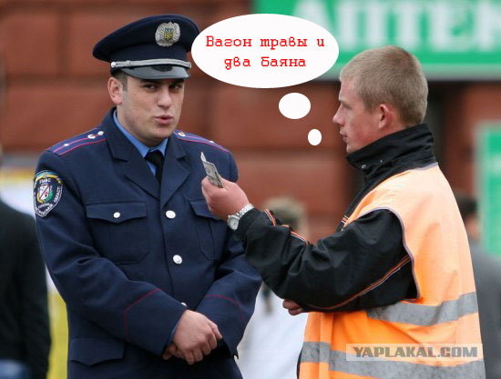 Фотожаба: Ты че, спалимся!