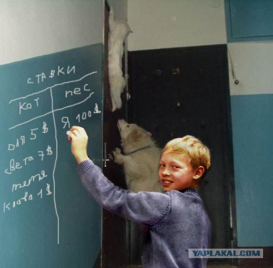 Фотожаба: Загнал сволочь!