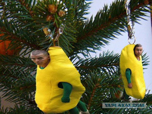 Друзья обезьян