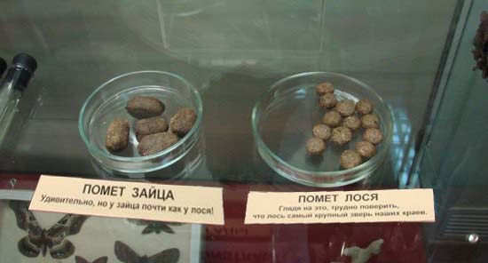 Удивительное рядом