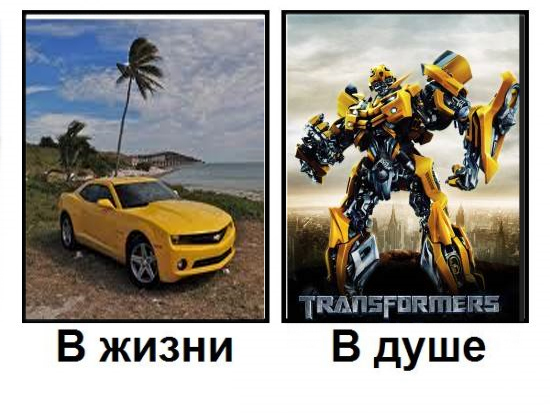 Кто есть кто?