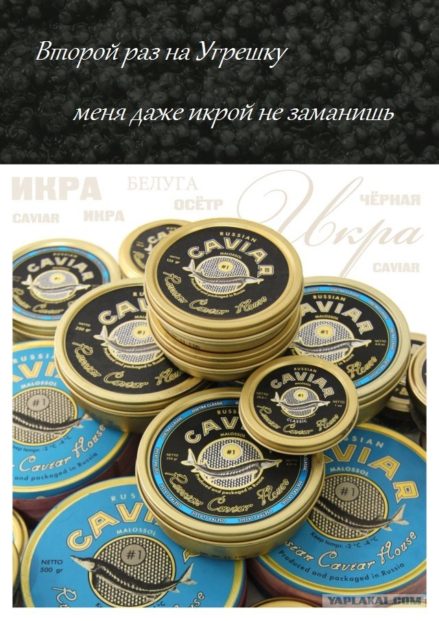 Выиграй 3кг черной икры!