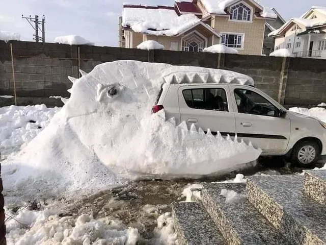 Картинки обо всëм. 07.01.20