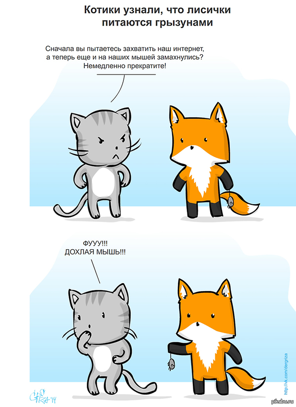 Котик и лиса