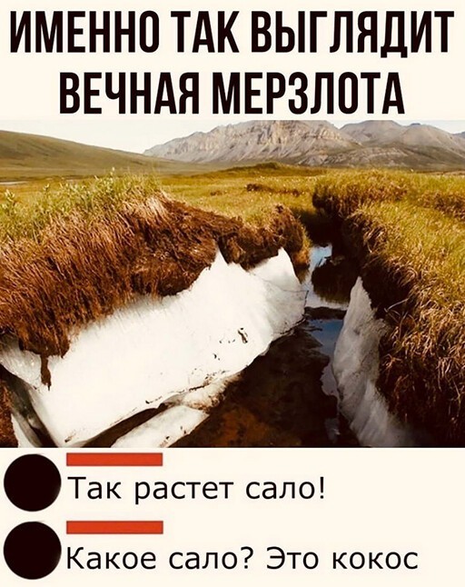 Баянисто-небаянистый юмор 03.02.21