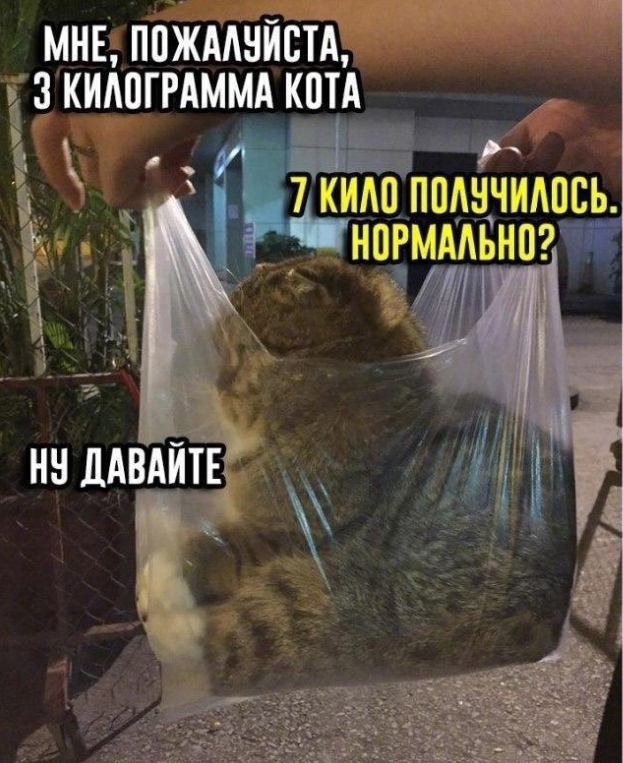 Так себе картинки 14.03.21