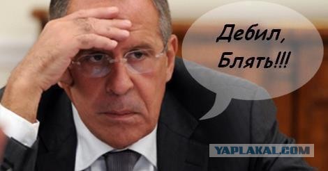 Богомол и шмель