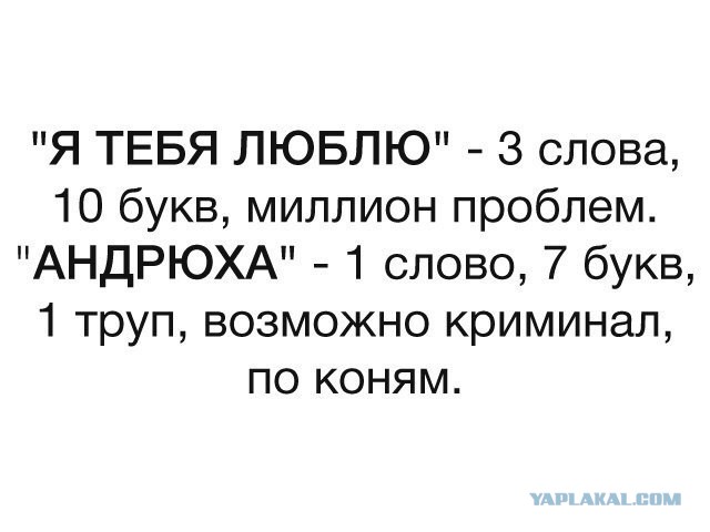Разной степени баянности пикчи