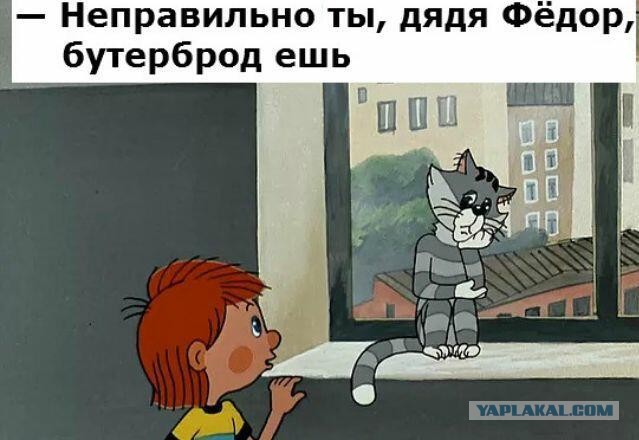 Милонов отхватил леща за "проститутку"