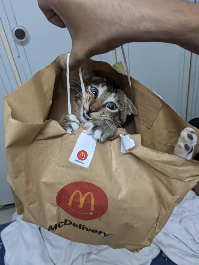 Котовторниковское