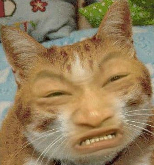 Про кота и говно