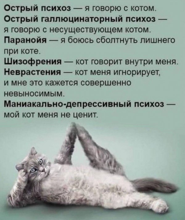 Картинки и мемы для настроения. Выходные рядышком...