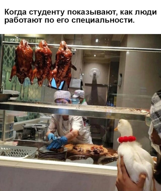 Немного картинок."Колбасный ветер". Август