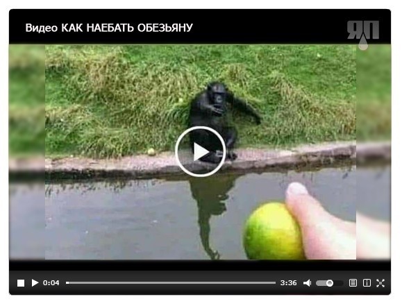 Начало хорошее, но муж не оценил