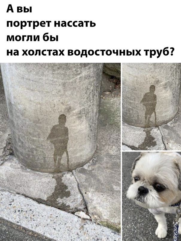 Немного юмора, гуманитарного - 5