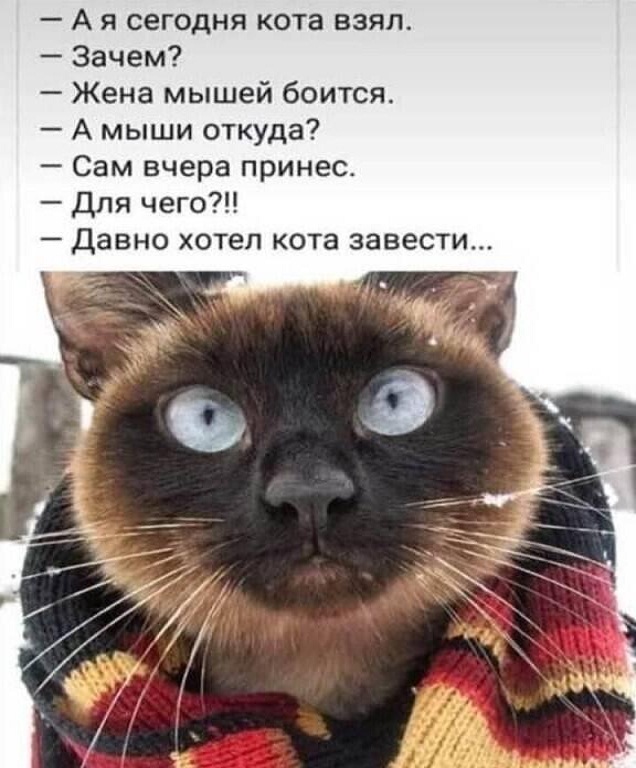 Немного картинок для настроения - 112