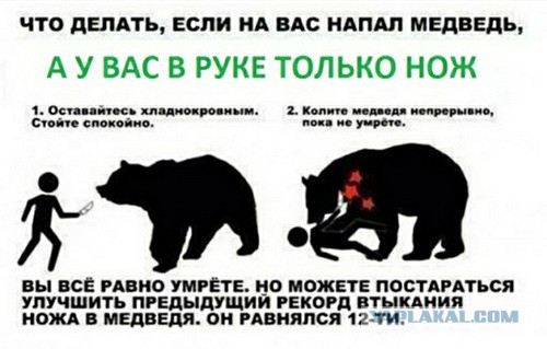 Встретили медведя в лесу? Что делать?