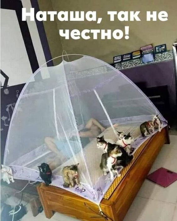 Так себе картинки 04.02.23