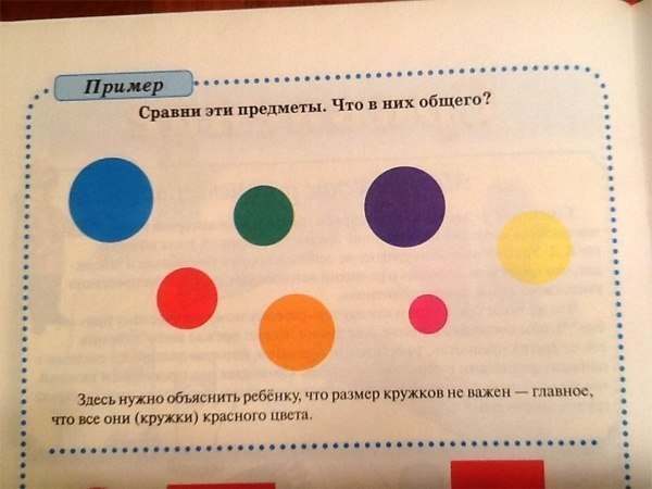 В этом суть реформы образования?