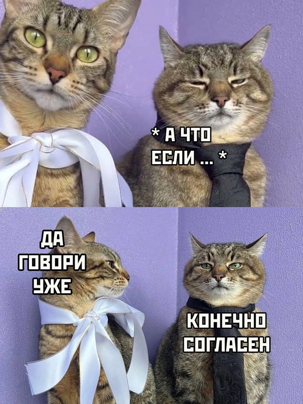 Картинки и мемы, всяко разно - 171