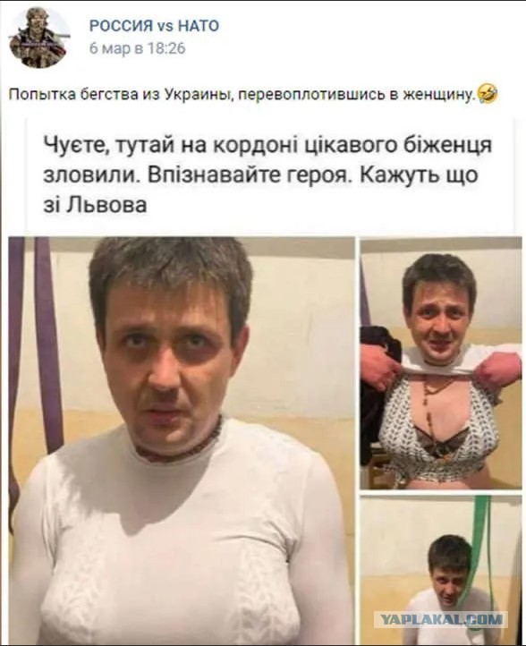 Метаморфозы