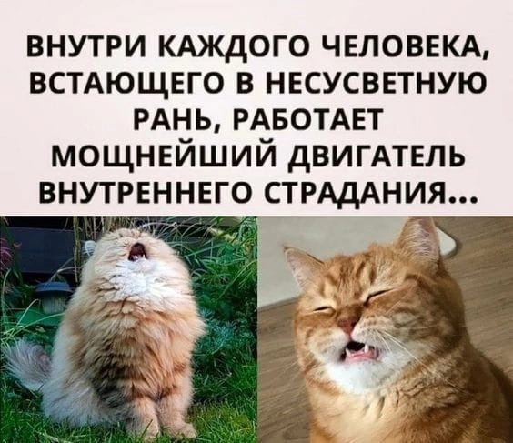 Отряд быстрого деградирования