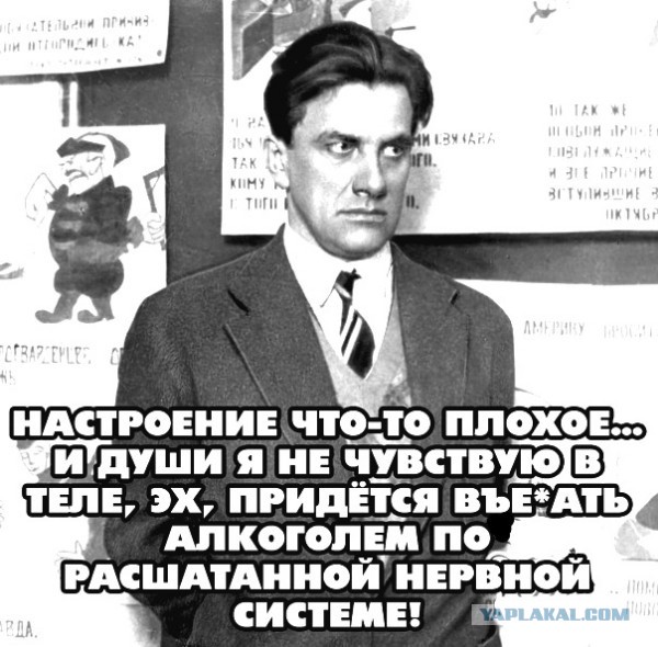 Бояны 10-ти летней выдержки