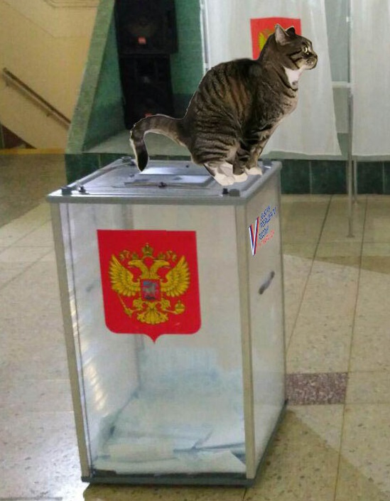 Чиновник из Архангельской области назвал в соцсетях предателями всех, кто не голосовал