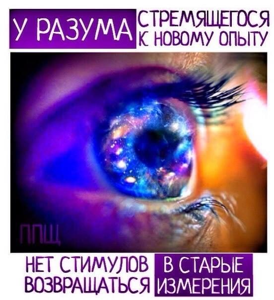 Прикольные и просто красивые картинки 10.05.2024