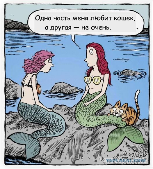 Картинки и буквы 24.06.2024
