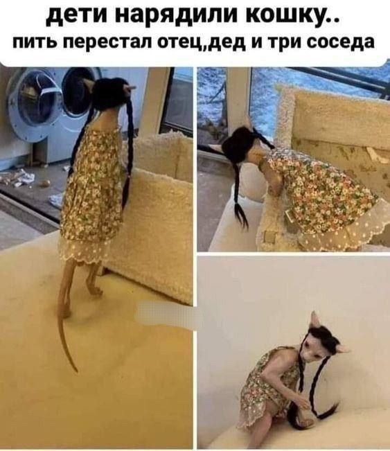 Сборник бабаянов или неожиданная помойка
