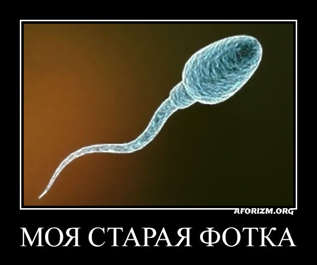 Картинки разные с надписями и без