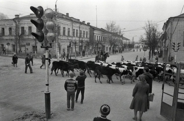 Яркие моменты