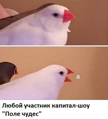 Хорошо, когда отдохнул на природе