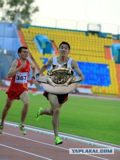 Моя первая фотжаба.