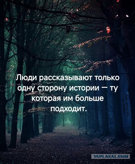 Картинки для деградации 56 (разной степени свежести)
