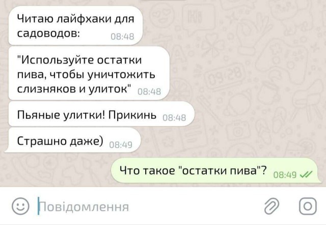 Заключительные баяны 2025