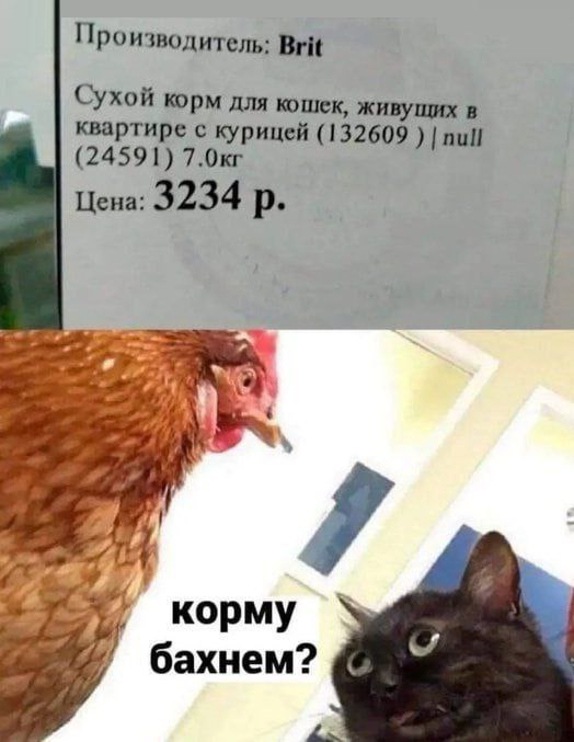 Картинки для деградации 142 (разной степени свежести)