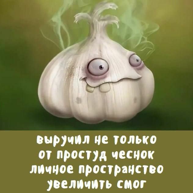 Тема дня