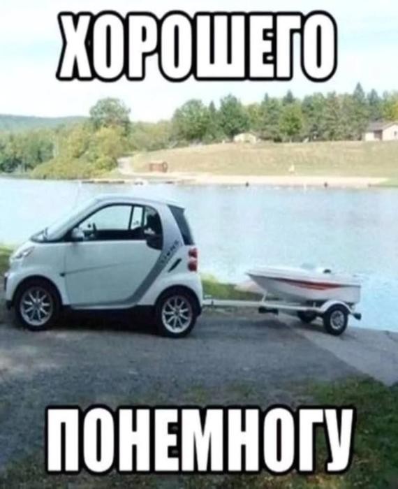 Картинки для деградации 220 (разной степени свежести)