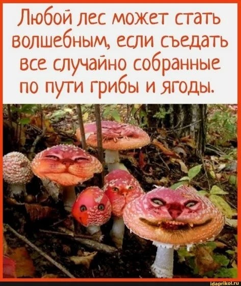 А не ликопердон ли ты часом ?