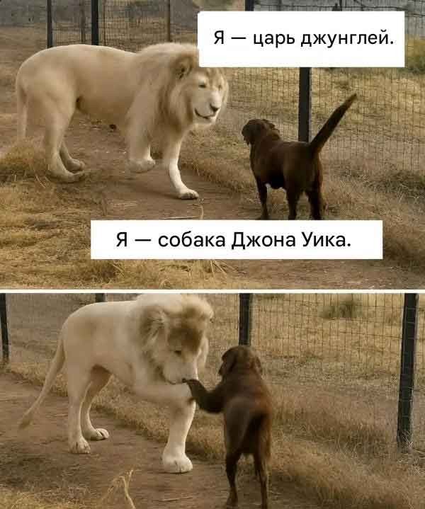 Фильмовый юмор в картинках