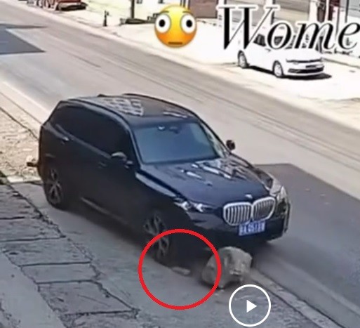 Она была настойчива и не сдавалась до последнего
